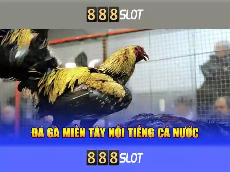 Khám phá 888slot - nền tảng casino trực tuyến uy tín