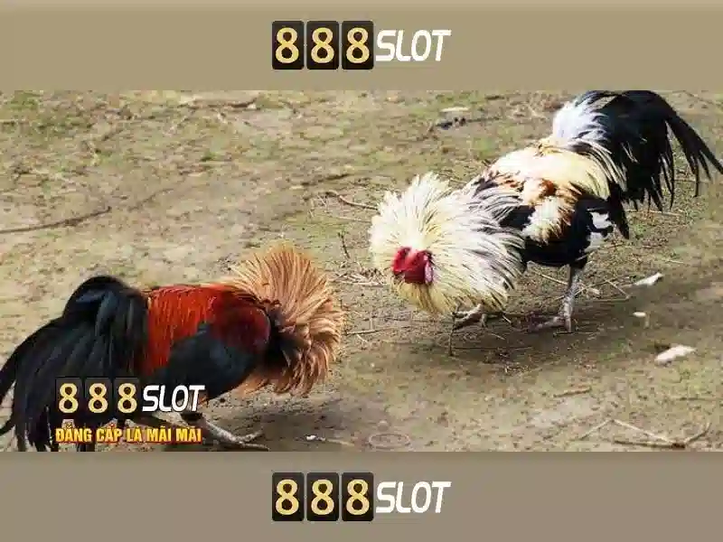https://befitnatic.com.co/images/text/888slot/888slot-text2603301431.webp