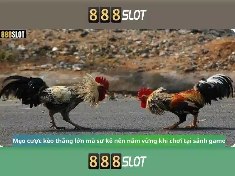 https://befitnatic.com.co/images/text/888slot/888slot-text260330367.webp