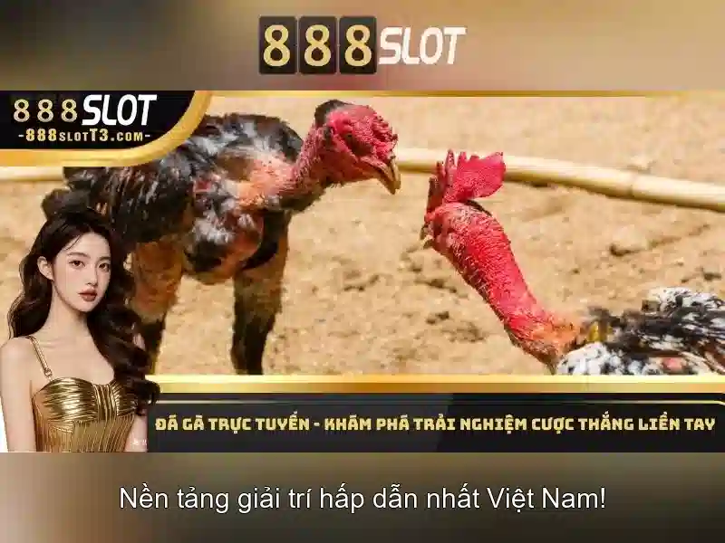 888slot - Nền tảng chơi slot trực tuyến tại Việt Nam