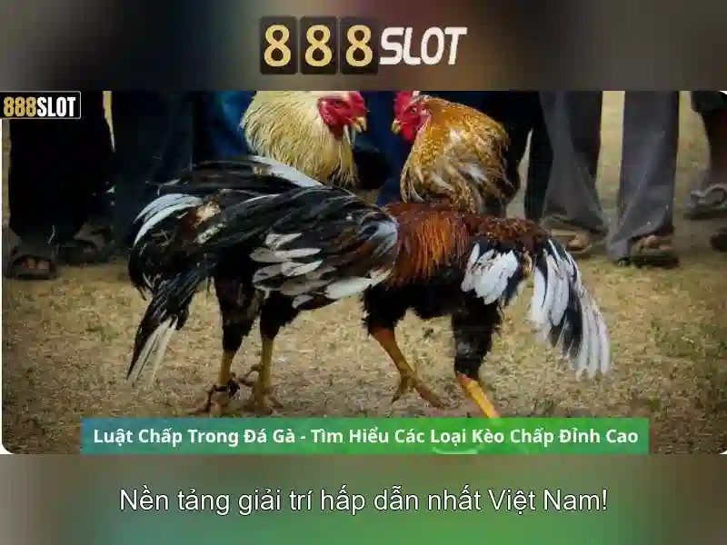 888slot_login_security